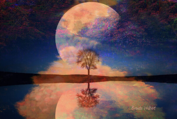 Moon Reflections